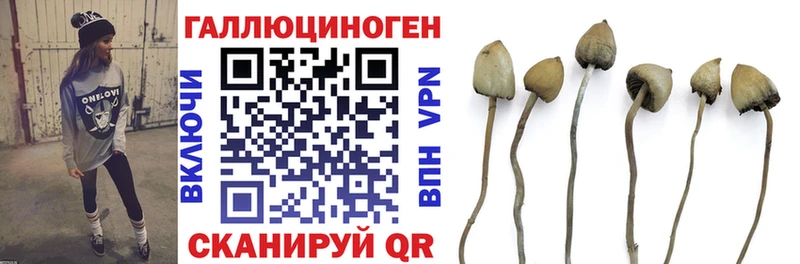 Псилоцибиновые грибы Magic Shrooms  продажа наркотиков  Сорск 